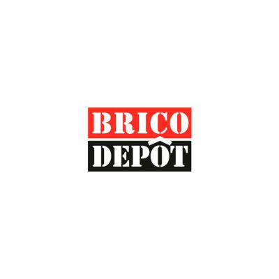 logo-bricodepot